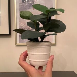 Faux Mini Plant
